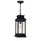 Cwi Lighting Milford 1 Light Outdoor Black Pendant 0418P7L-1 - alternate 3